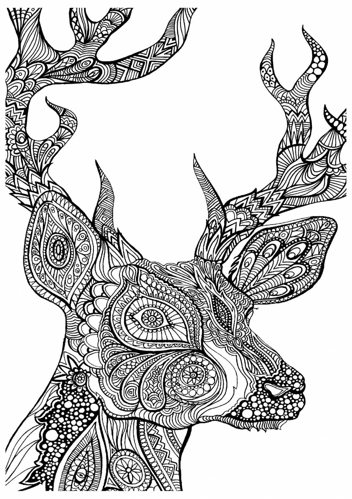 Fancy animal coloring book