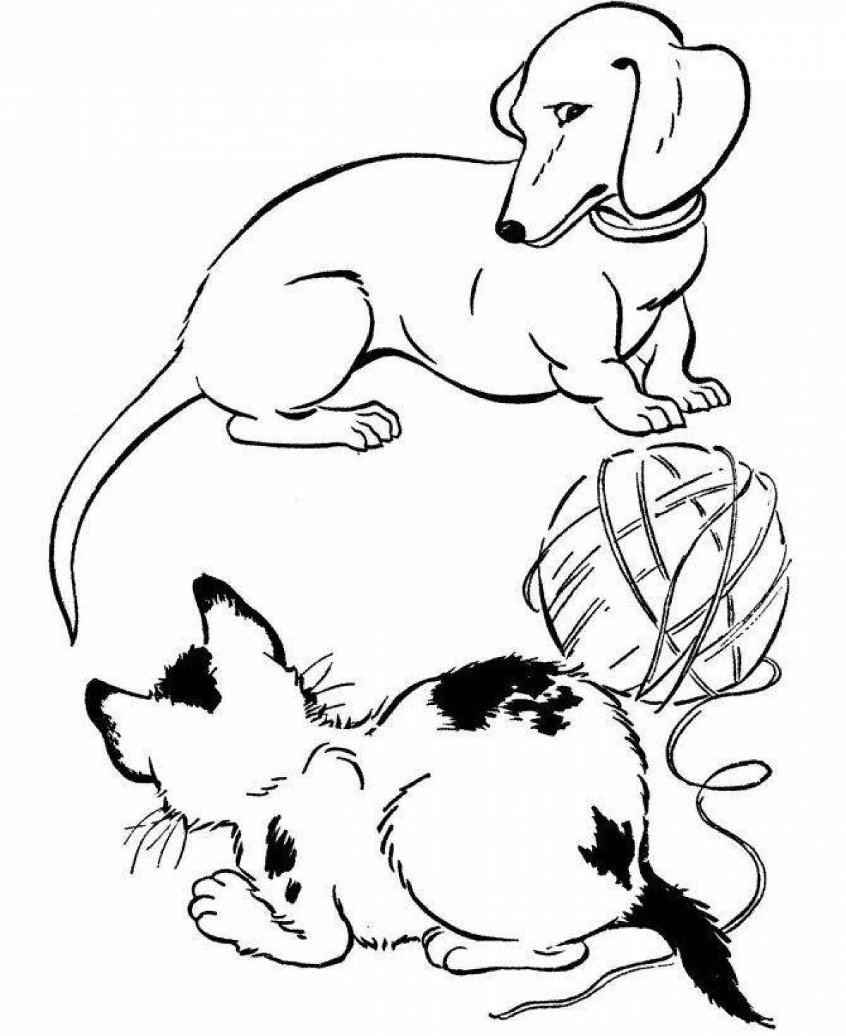 Attractive dog and cat coloring page