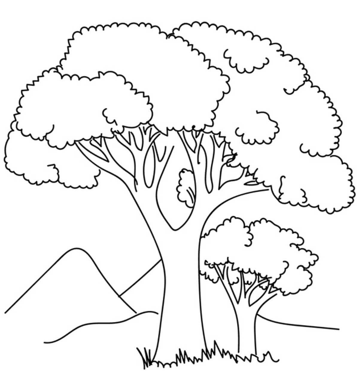 Amazing tree coloring page for kids