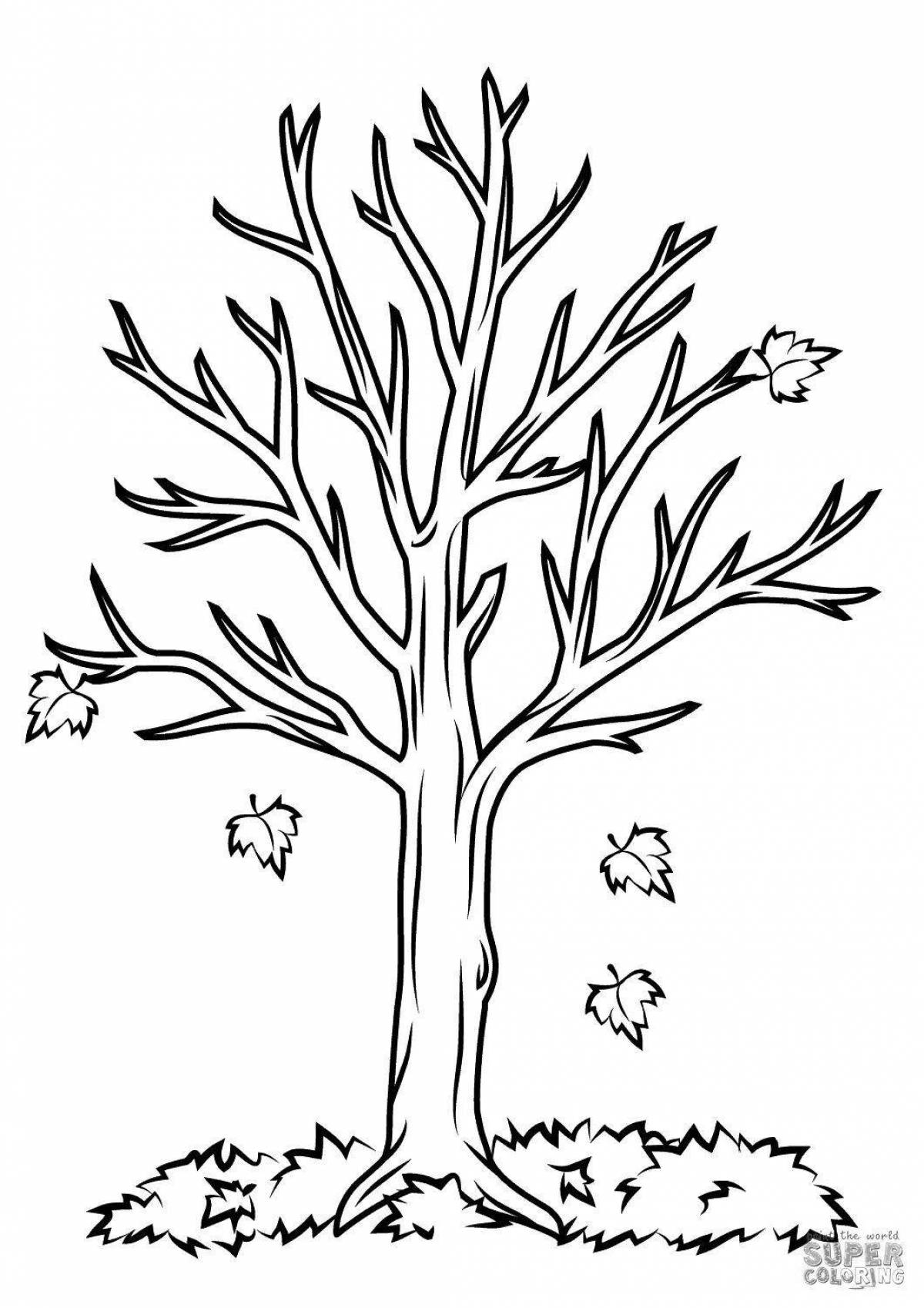 Colorful-bright tree coloring book for kids