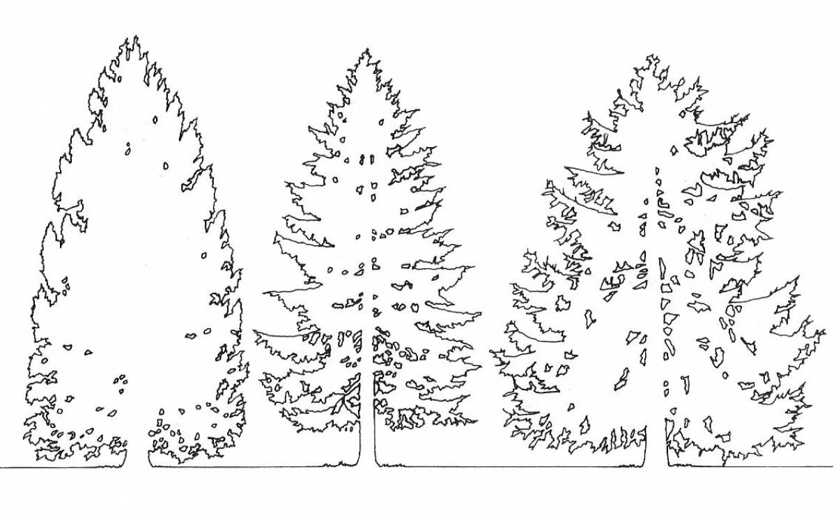 Charming coloring coniferous trees