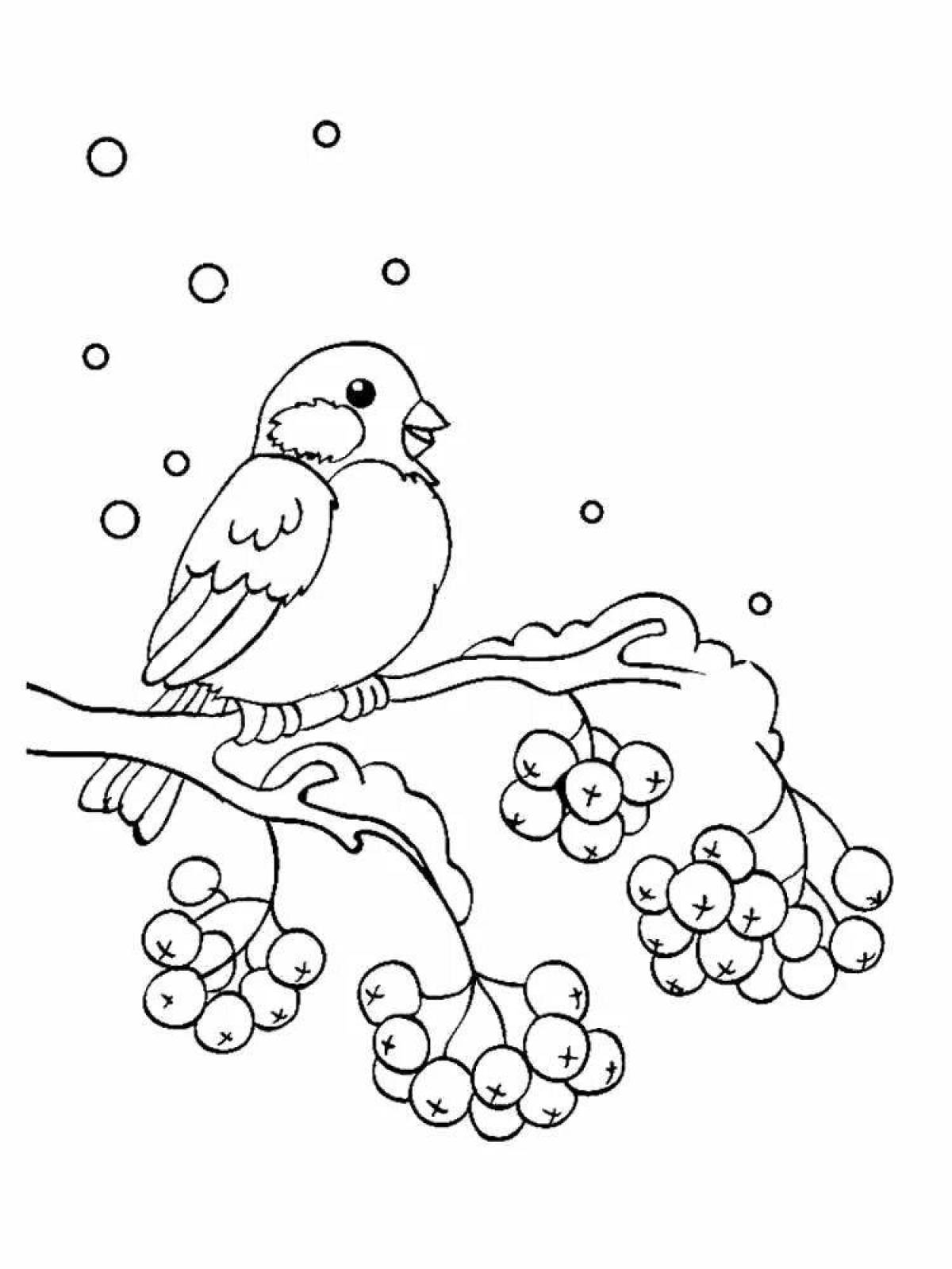 Colorful wintering birds coloring page