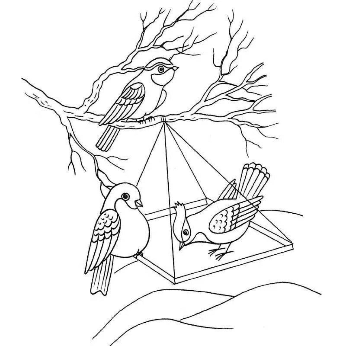Animated coloring pages of wintering birds