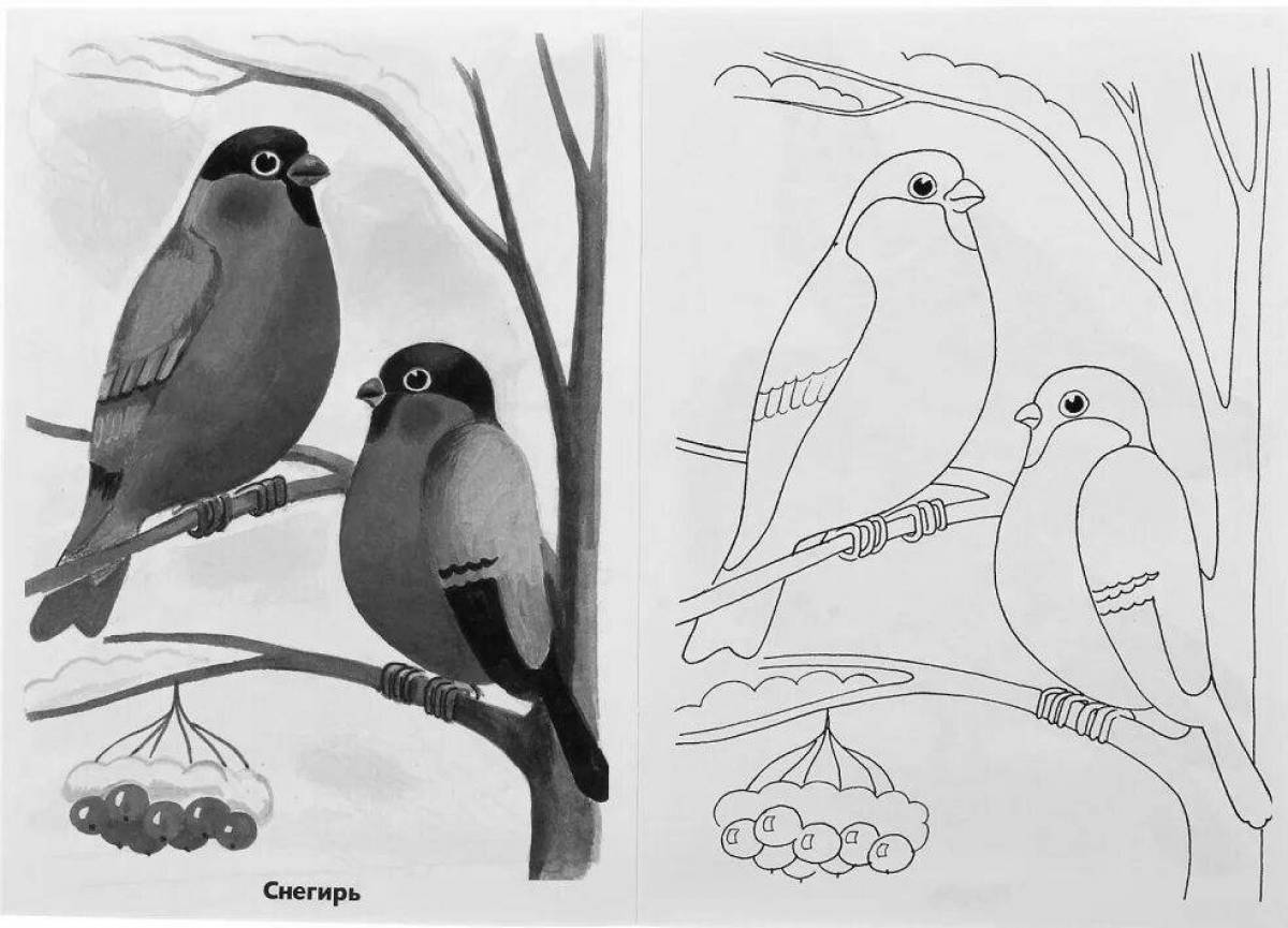 Coloring page festive wintering birds