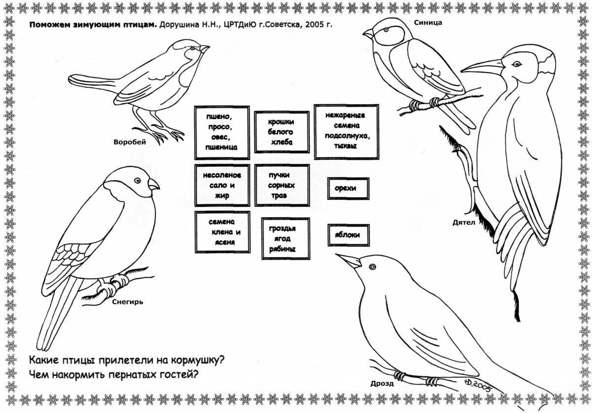 Раскраска остроумные зимующие птицы