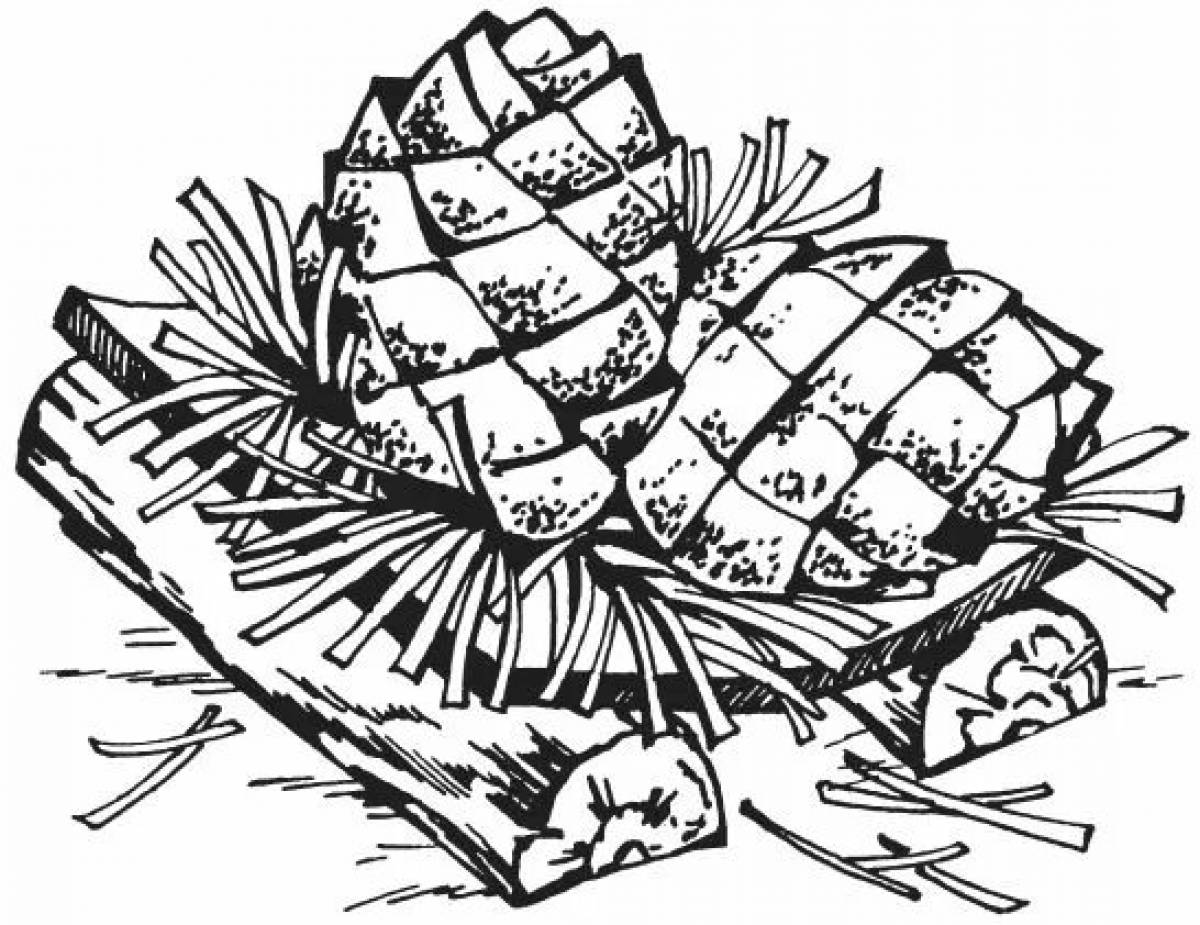 Shimmering basket of spruce cones Paustovsky