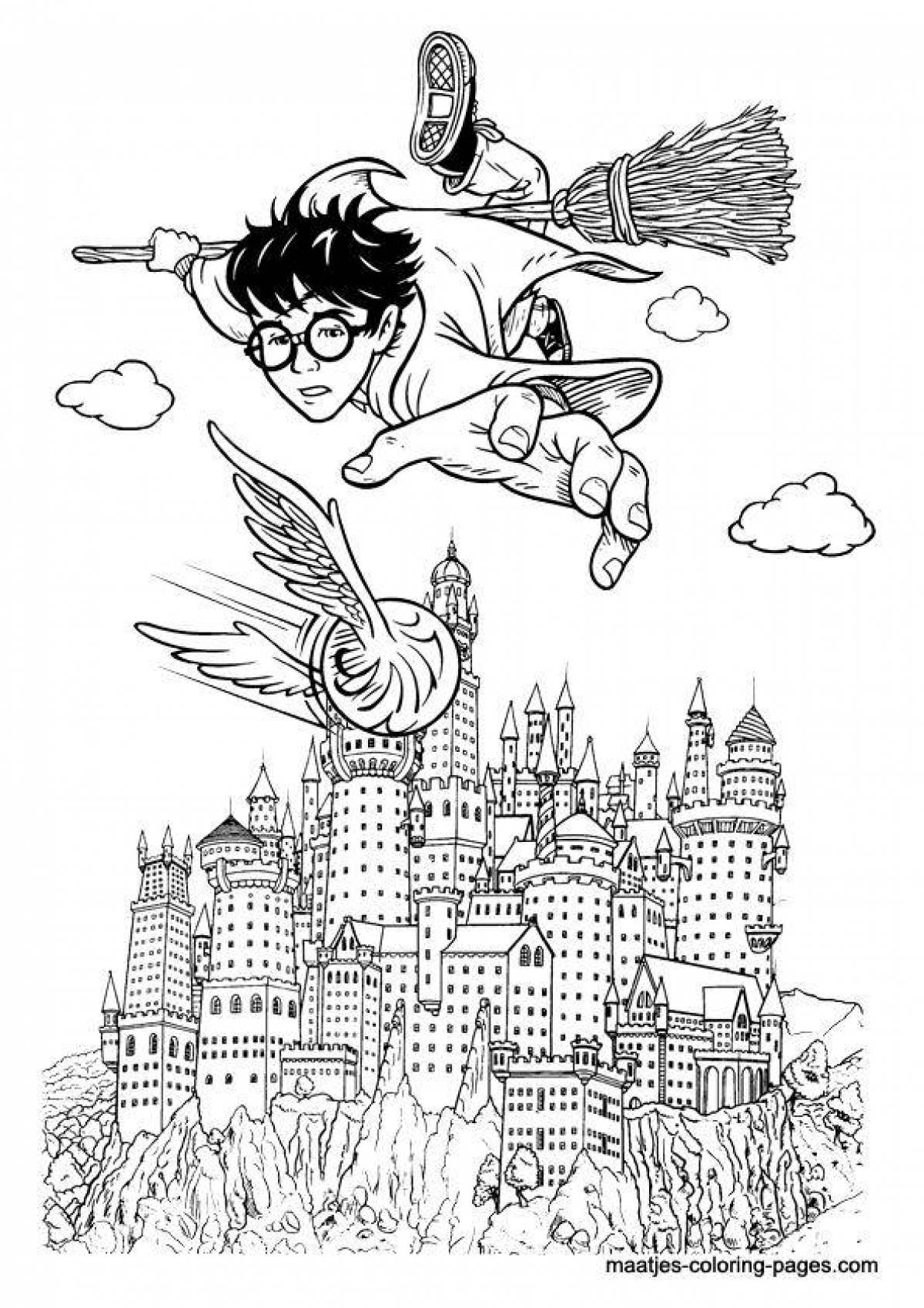 Harry potter glitter coloring book for girls