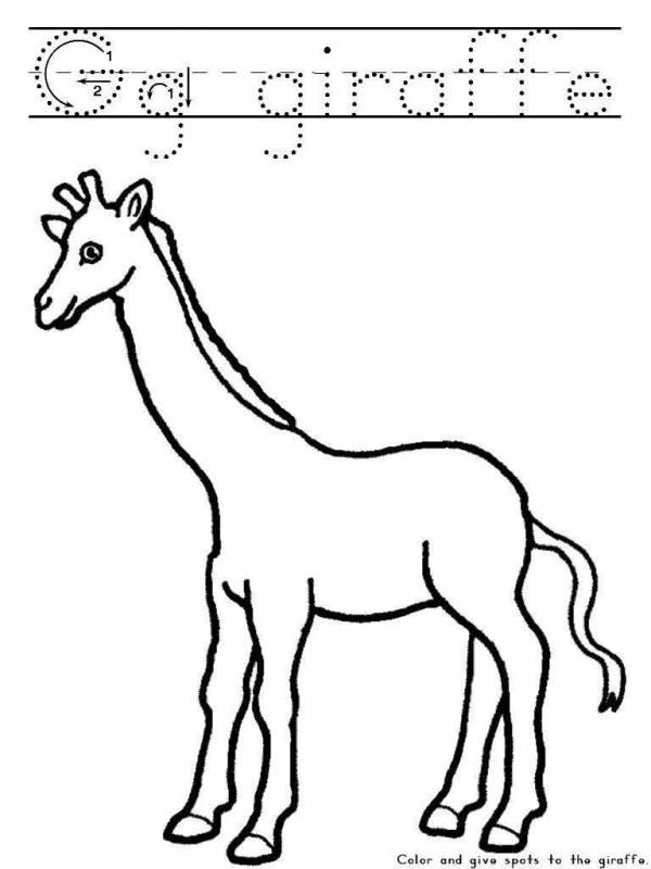 Жираф картинка для раскрашивания без пятен