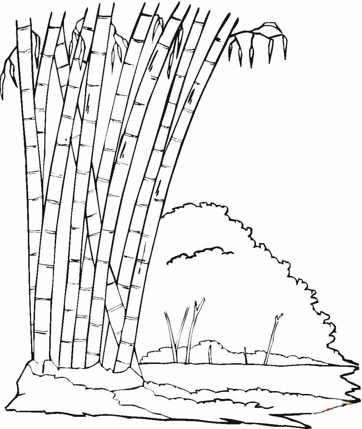 Бамбуковый лес в карандаше