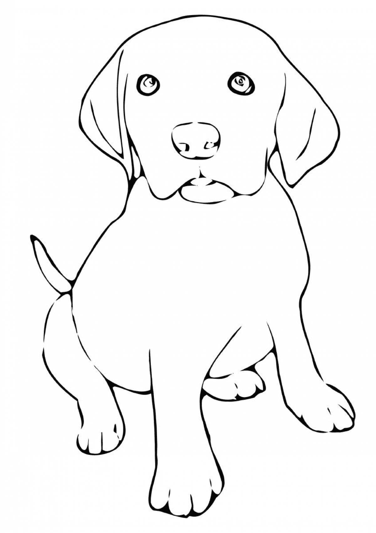 Labrador coloring page
