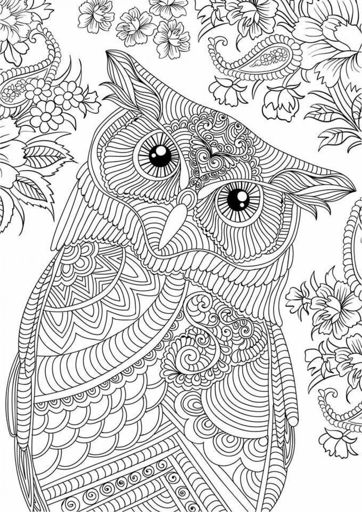 Photo Owl coloring page