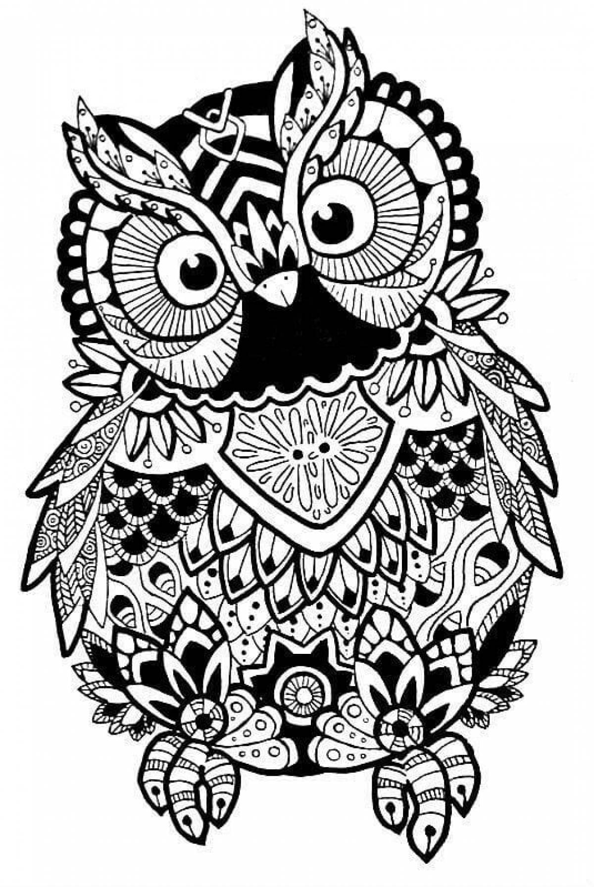 Photo Owl picture