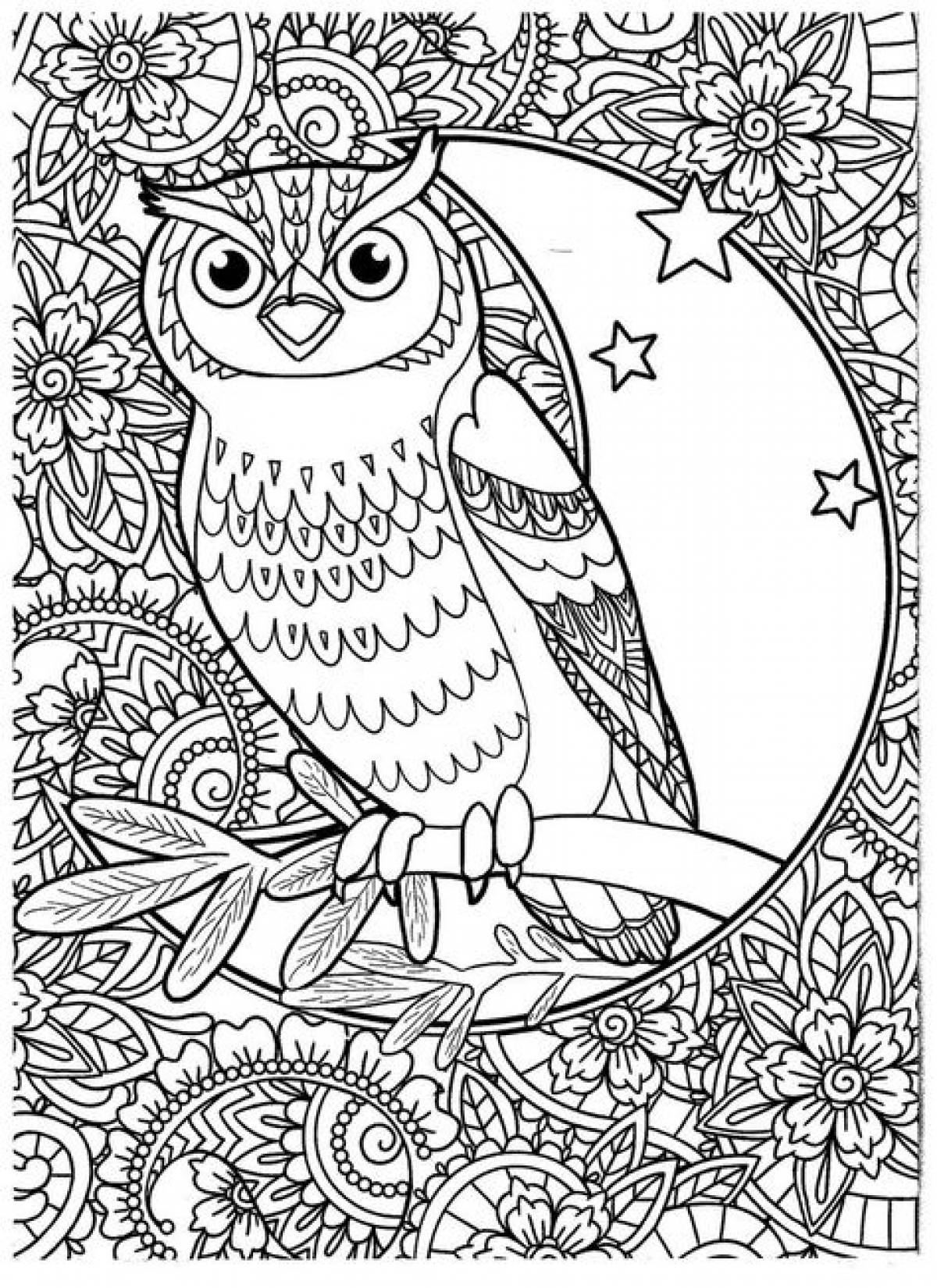 Photo Antistress owl and moon