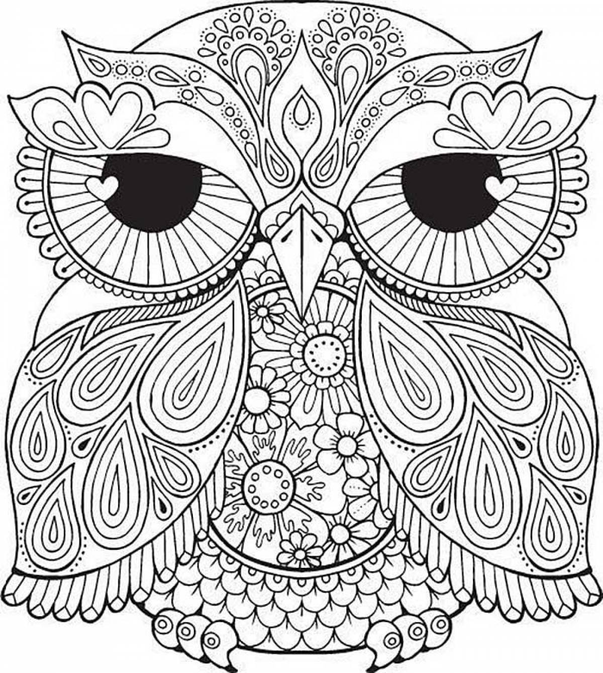 Owl antistress picture