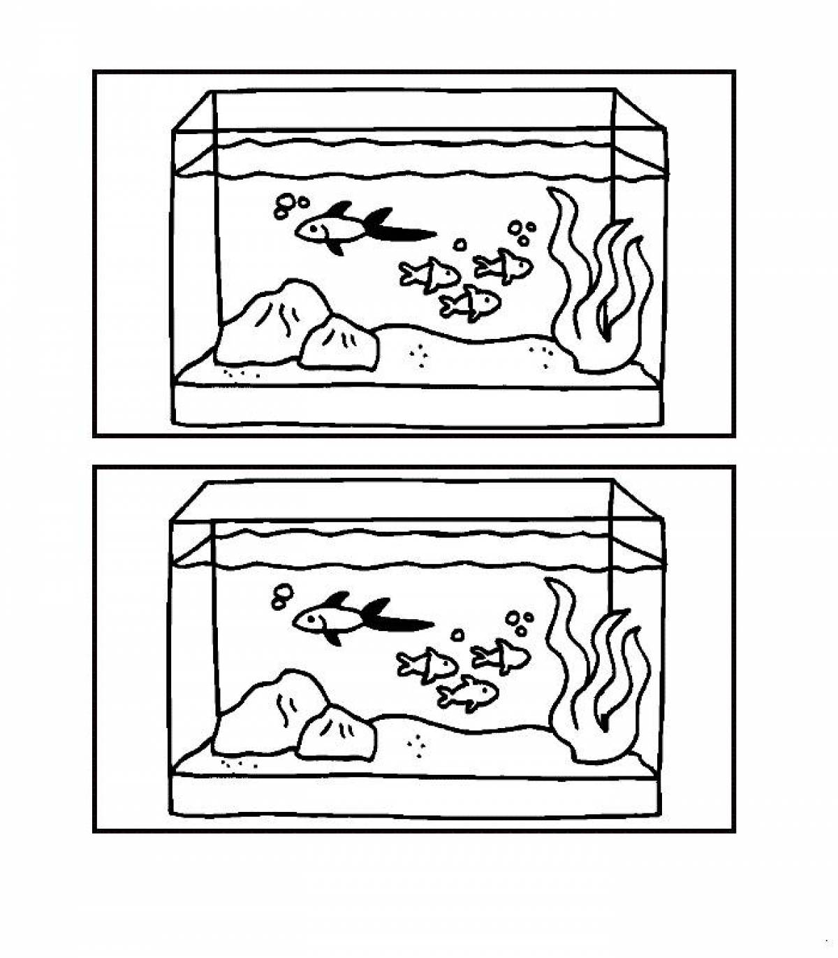 Two aquariums