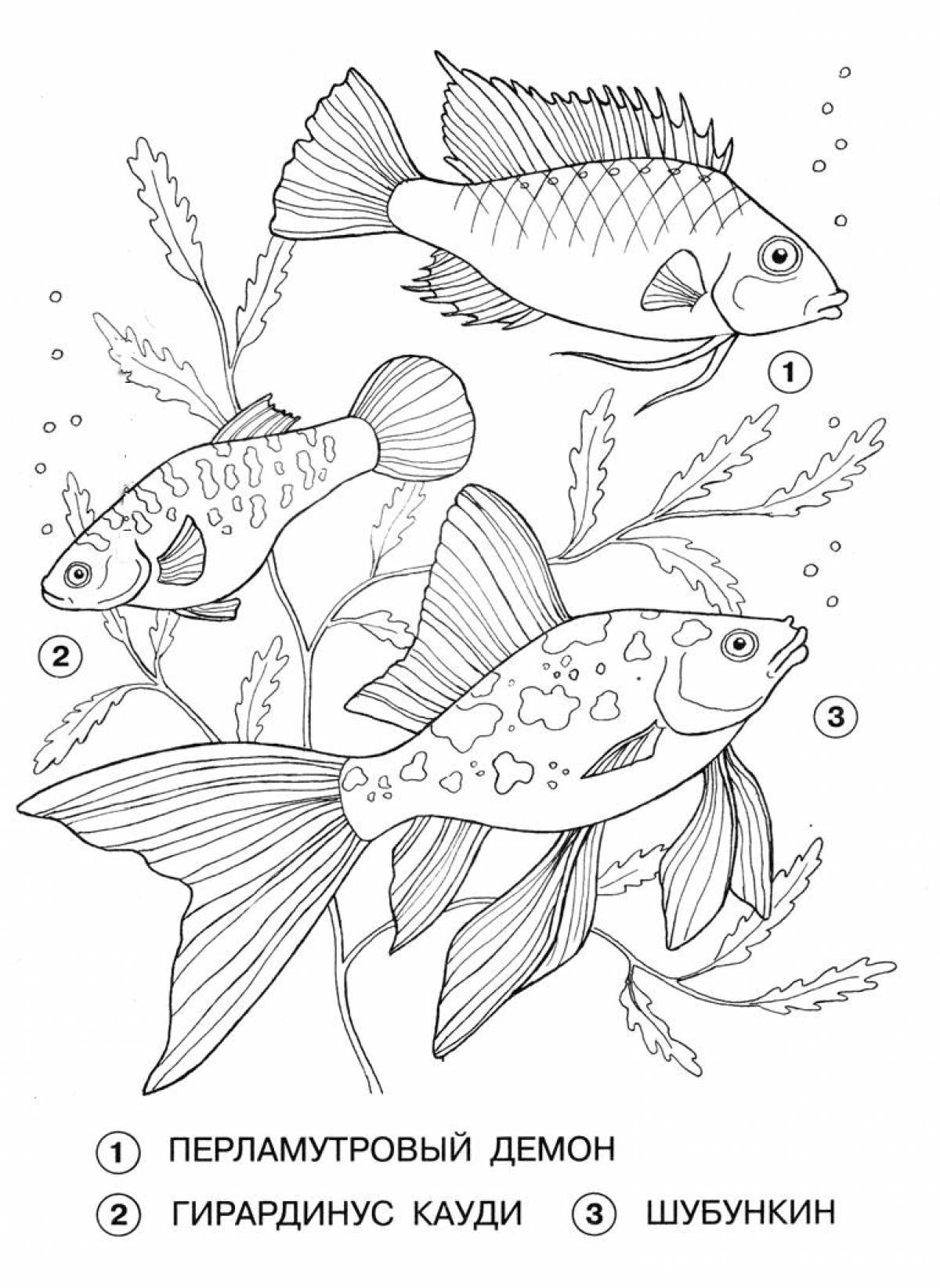 Aquarium inhabitants
