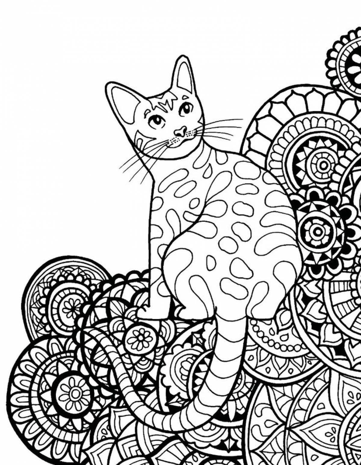 Photo Antistress cat on patterns
