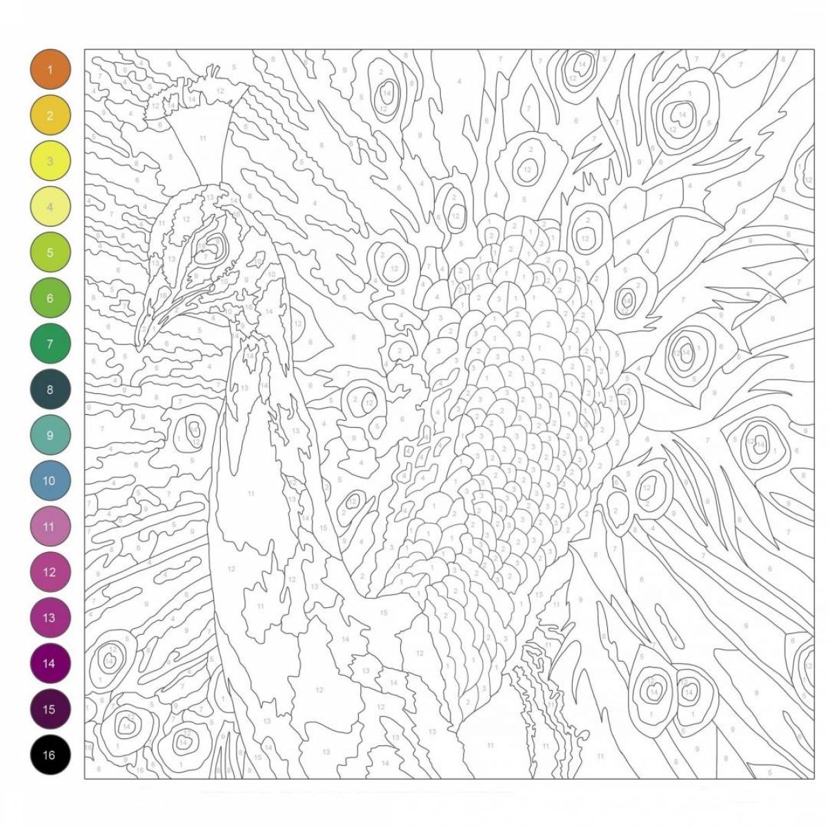 Peacock coloring pages for adults