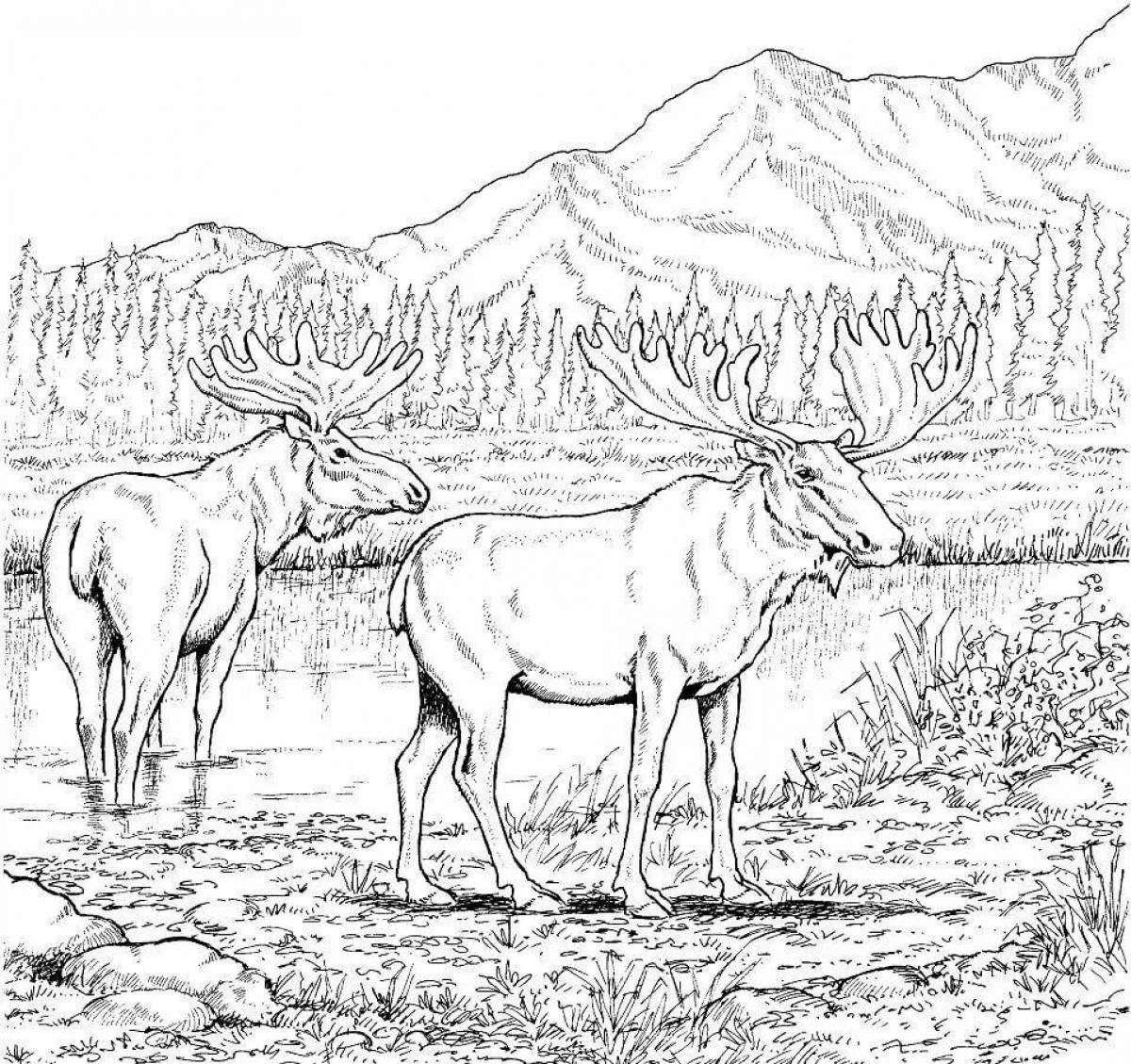 Gorgeous tundra coloring book