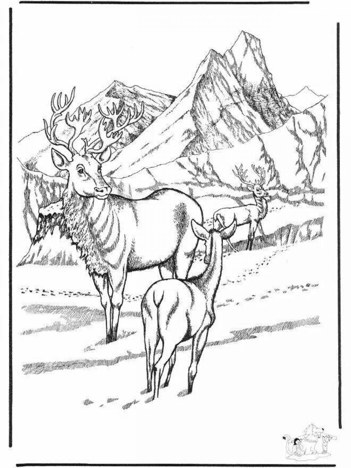 Coloring page dazzling tundra