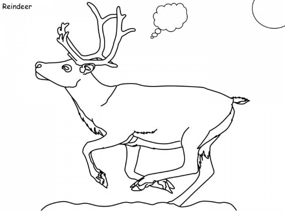 Consolation tundra coloring page
