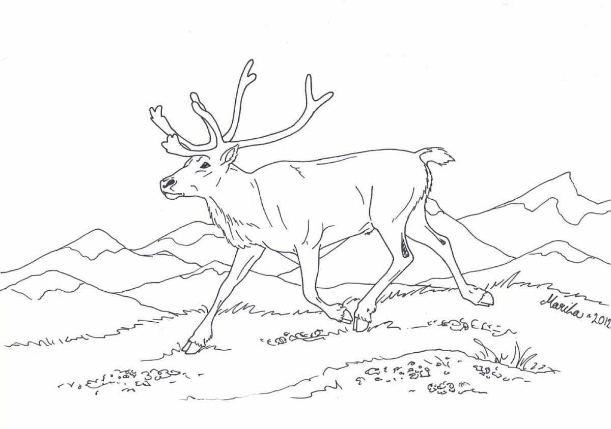 Royal tundra coloring page