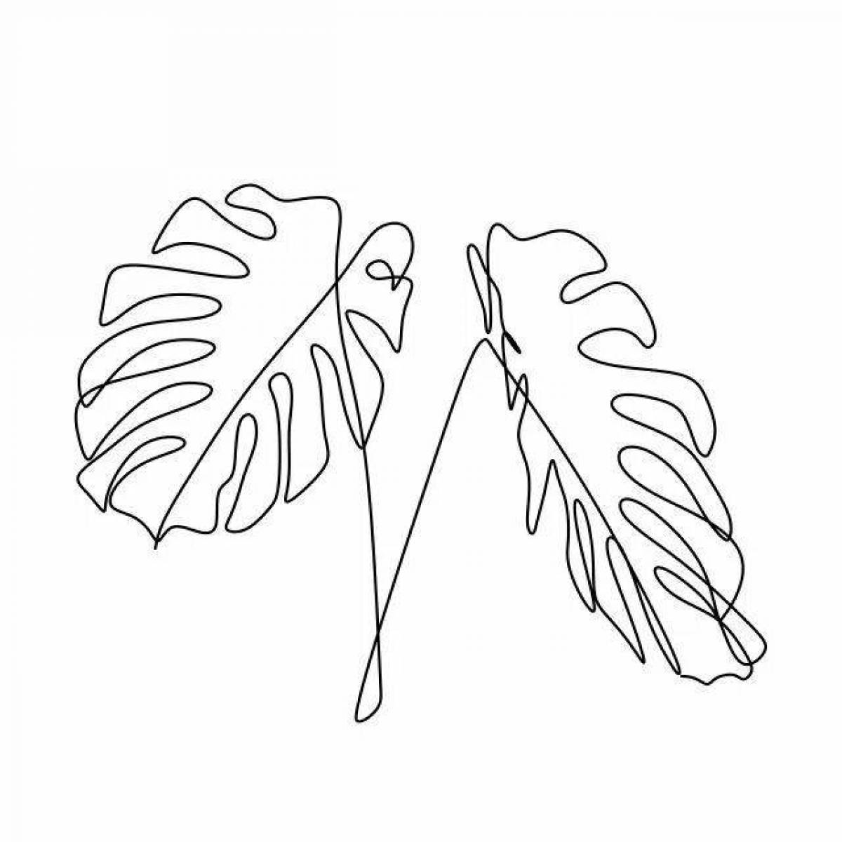 Coloring page charming monstera