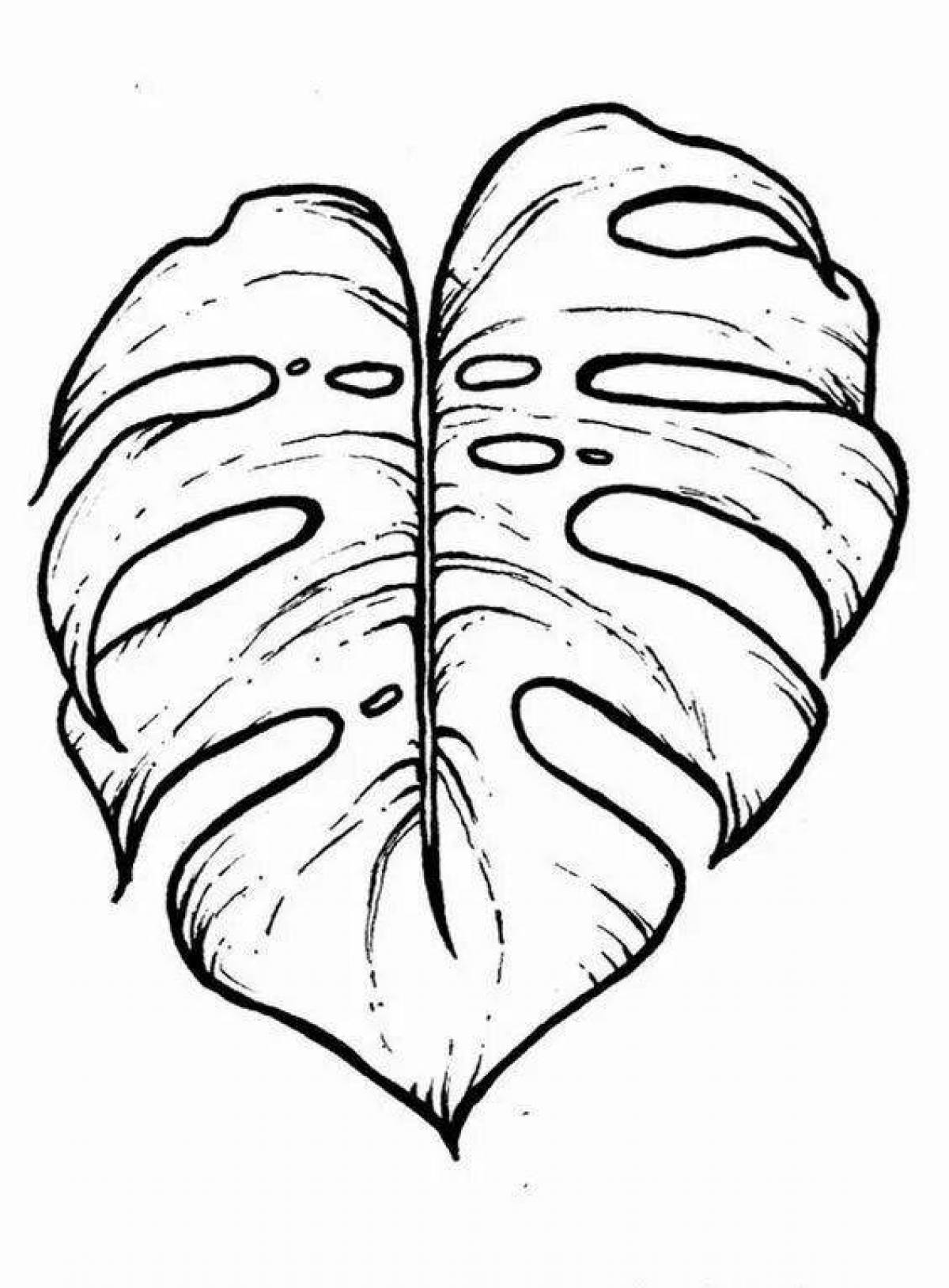 Delightful monstera coloring page