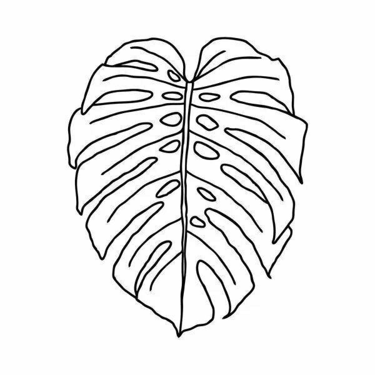 Cute monstera coloring page