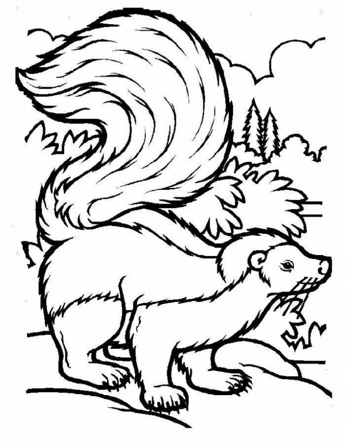 Colorful skunk coloring page