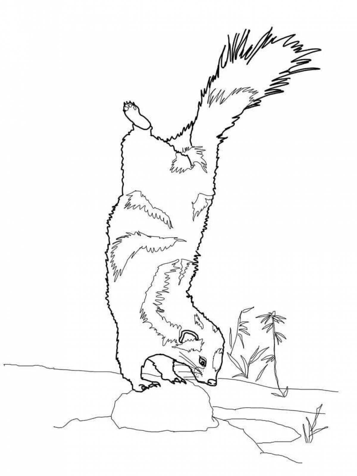 Playful skunk coloring page