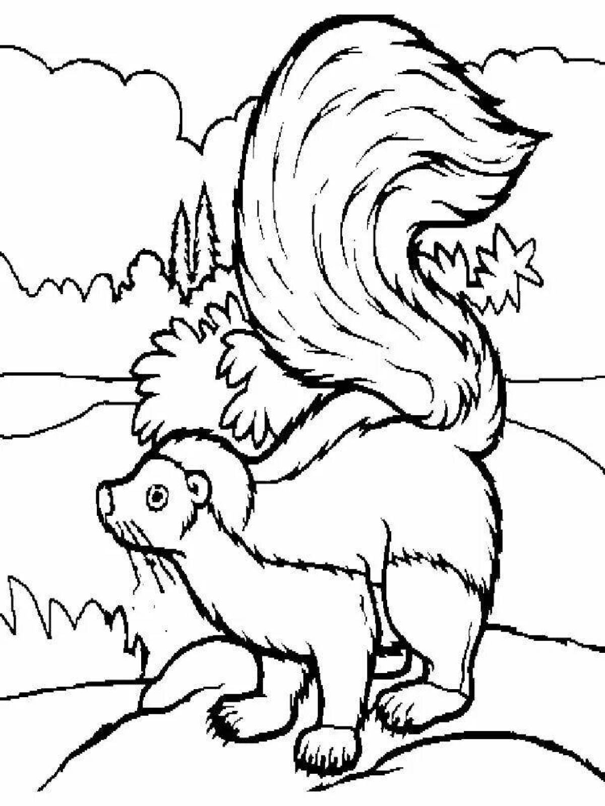 Skunk live coloring page