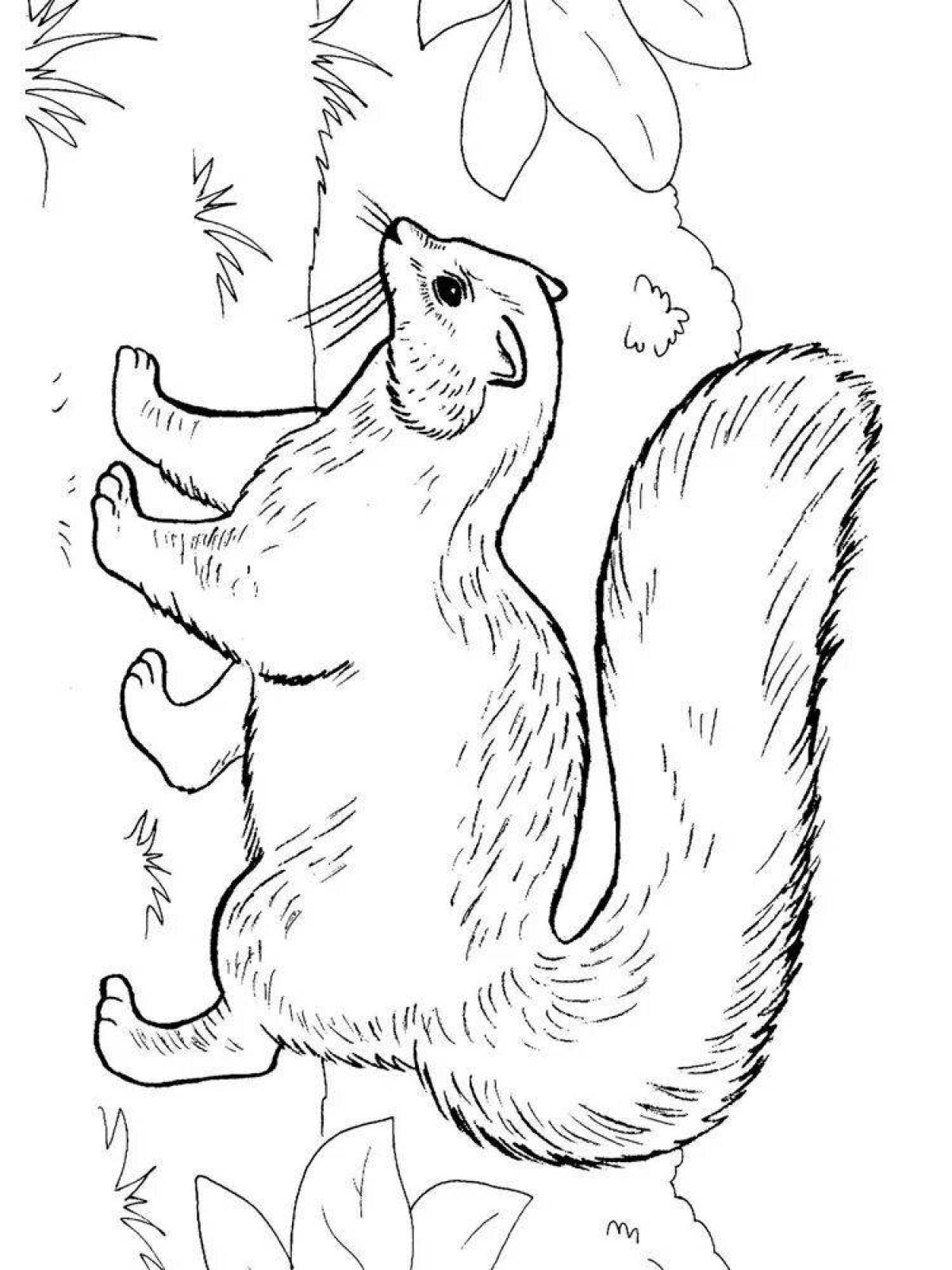 раскраска Скунс, млекопитающих известный за неприятный запах