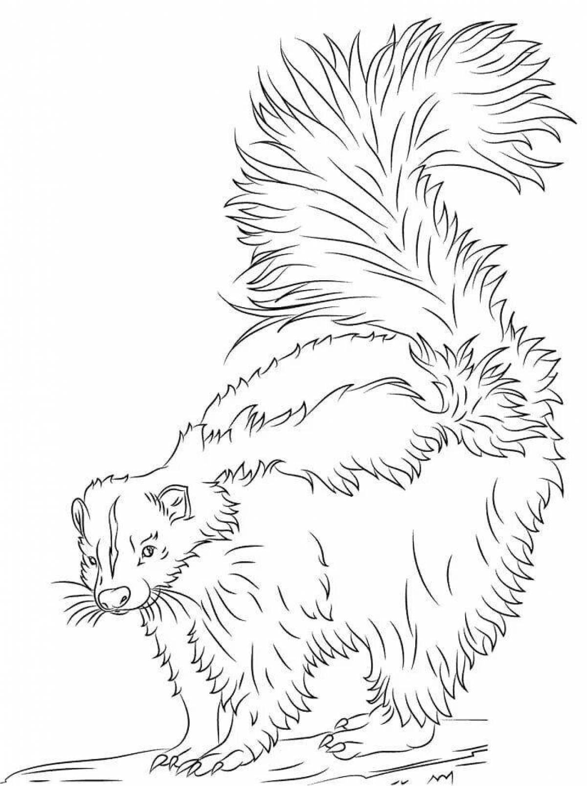 Забавная раскраска скунса