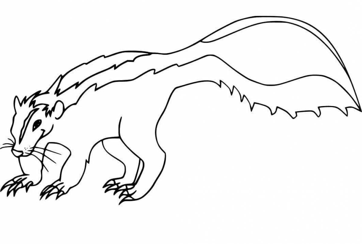 Страница раскраски игристого скунса