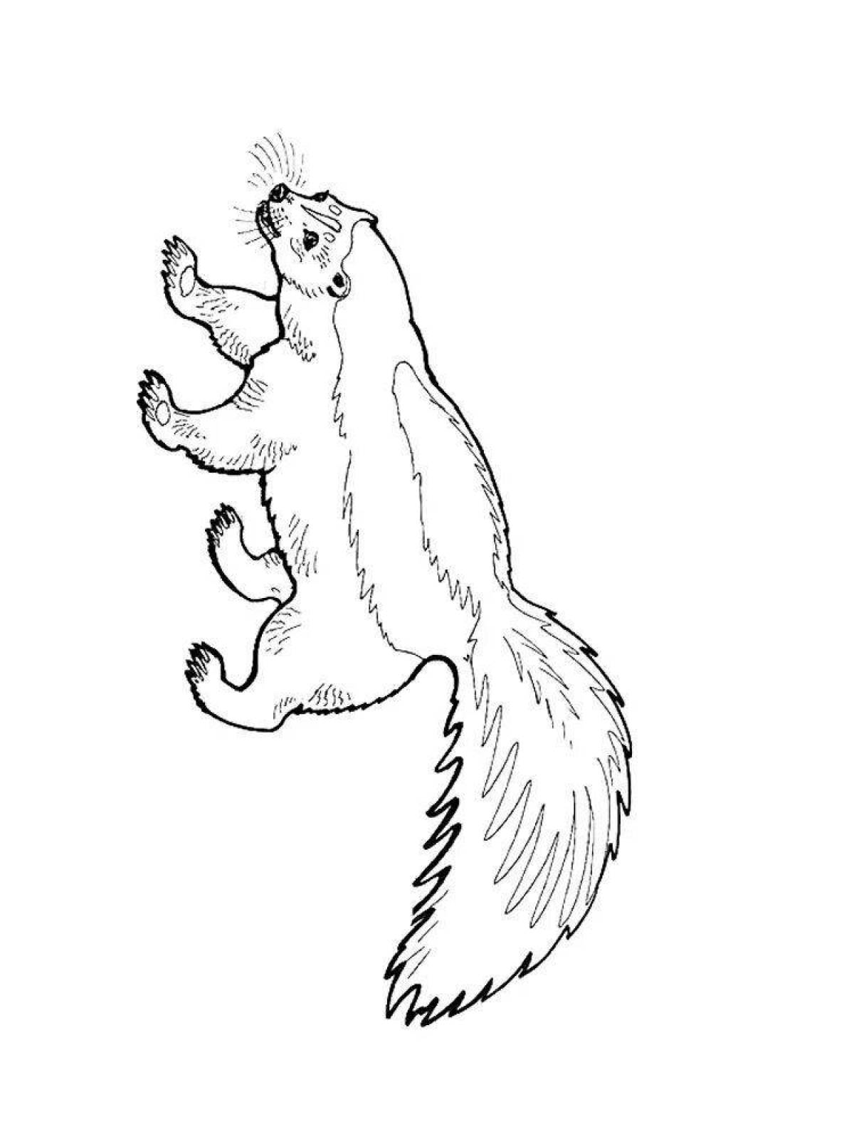 Attractive skunk coloring page