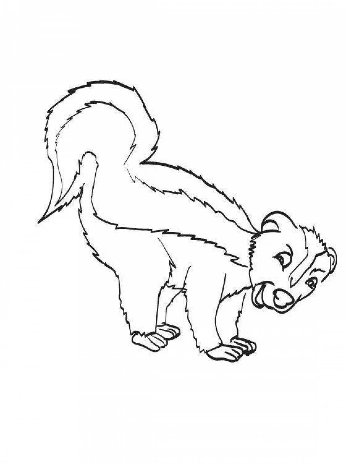 Раскраска funky skunk