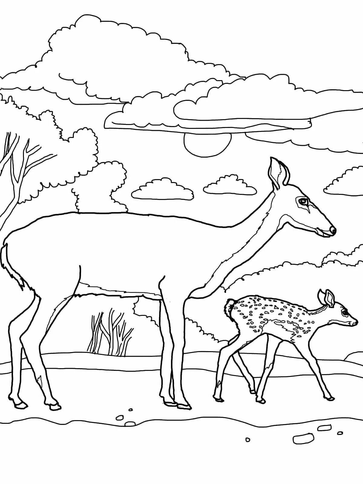 Заповедник #5