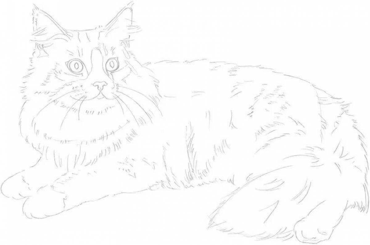 Раскраска веселый кот