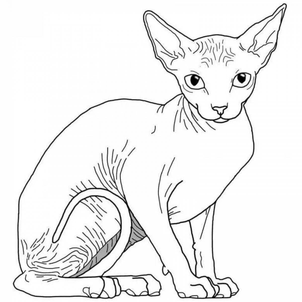 Раскраска пушистый кот