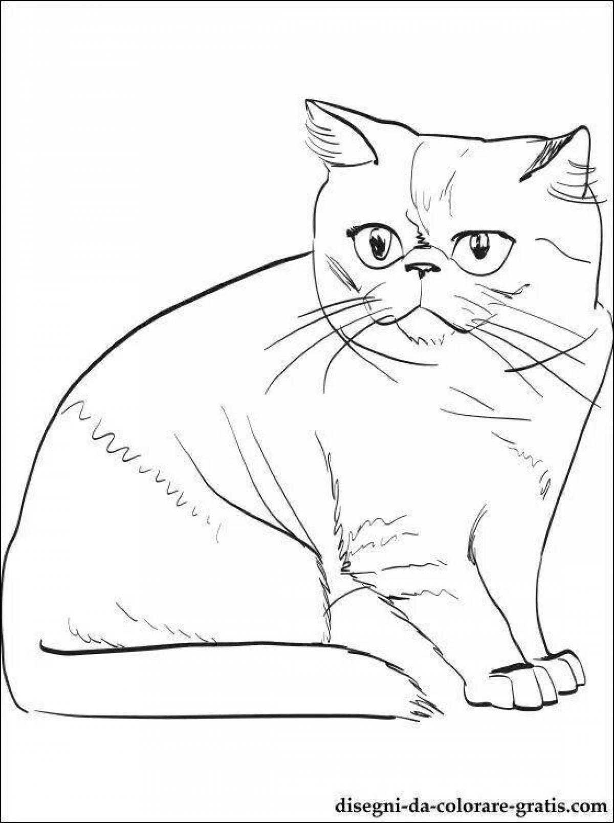 Цветная страница раскраски кошки-карандаша