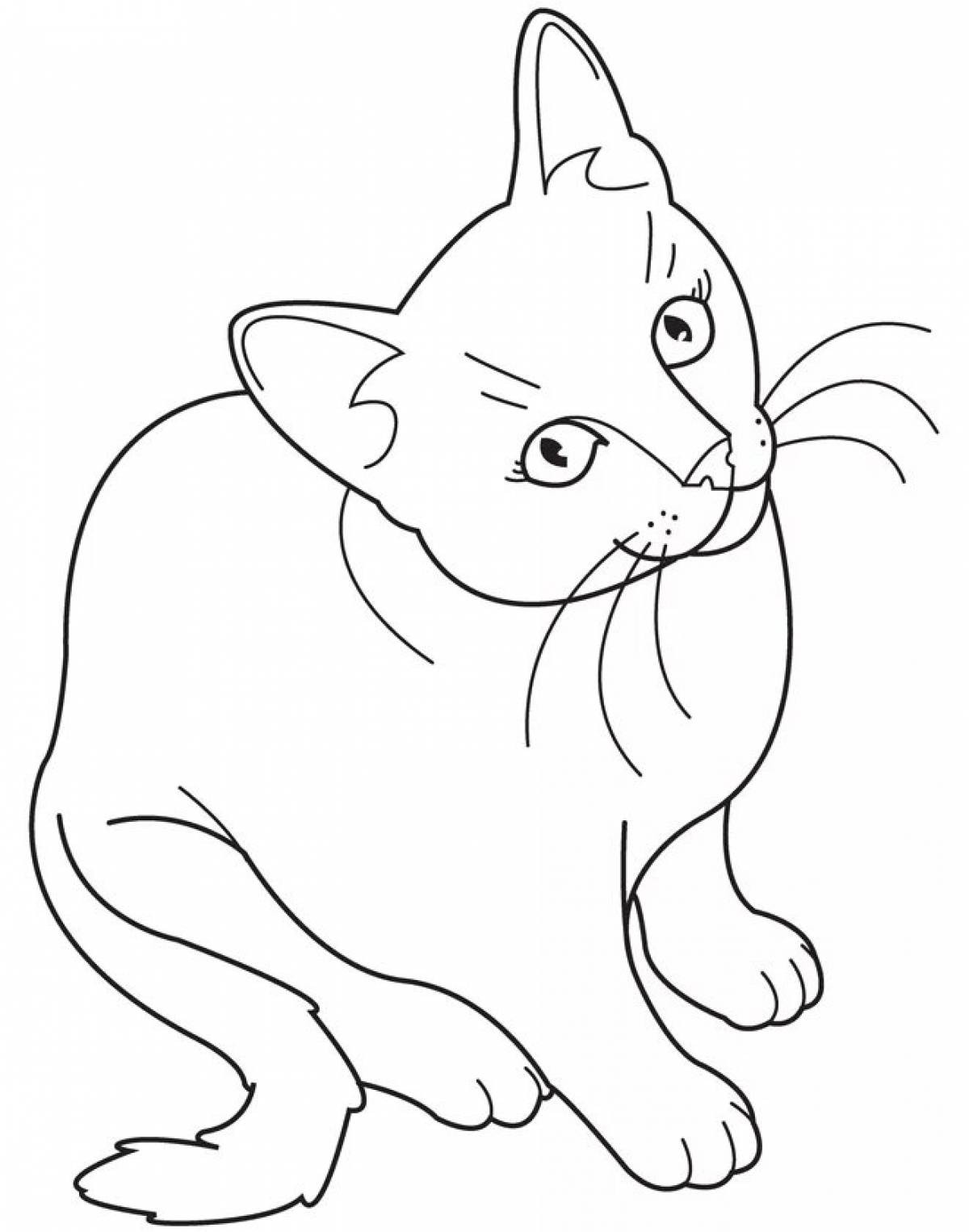 Coloring book funny pencil cat