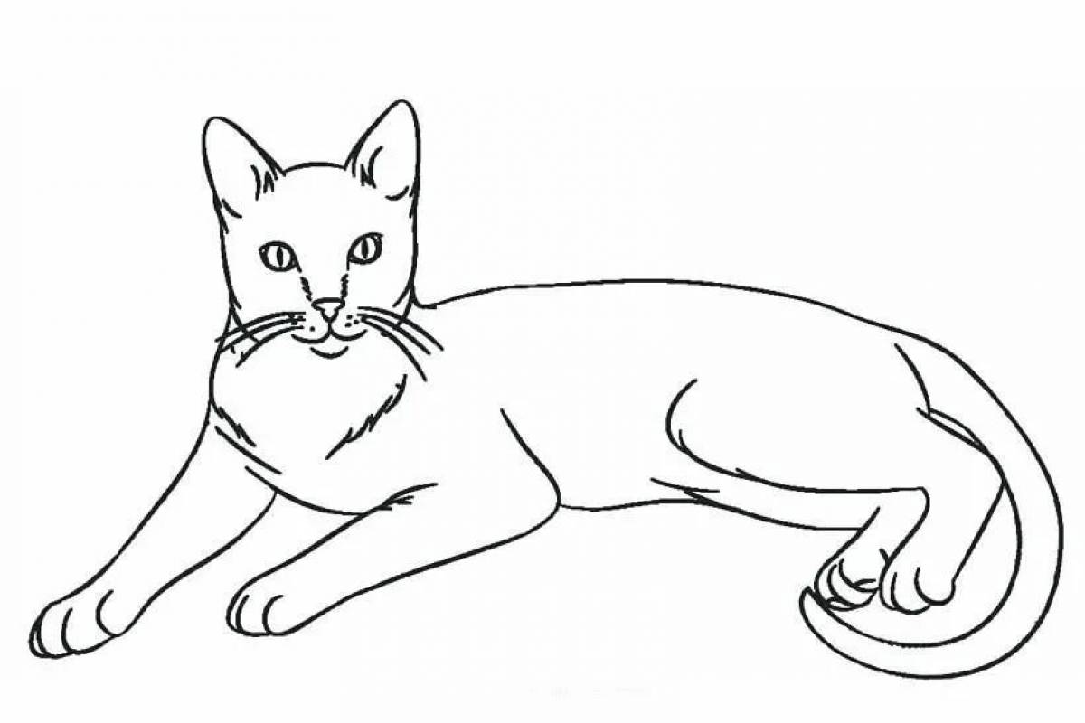 Раскраска очаровательная карандашная кошка