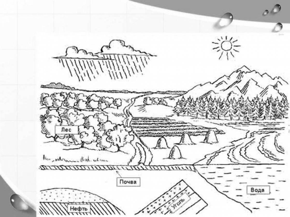 Photo Sparkling minerals coloring pages
