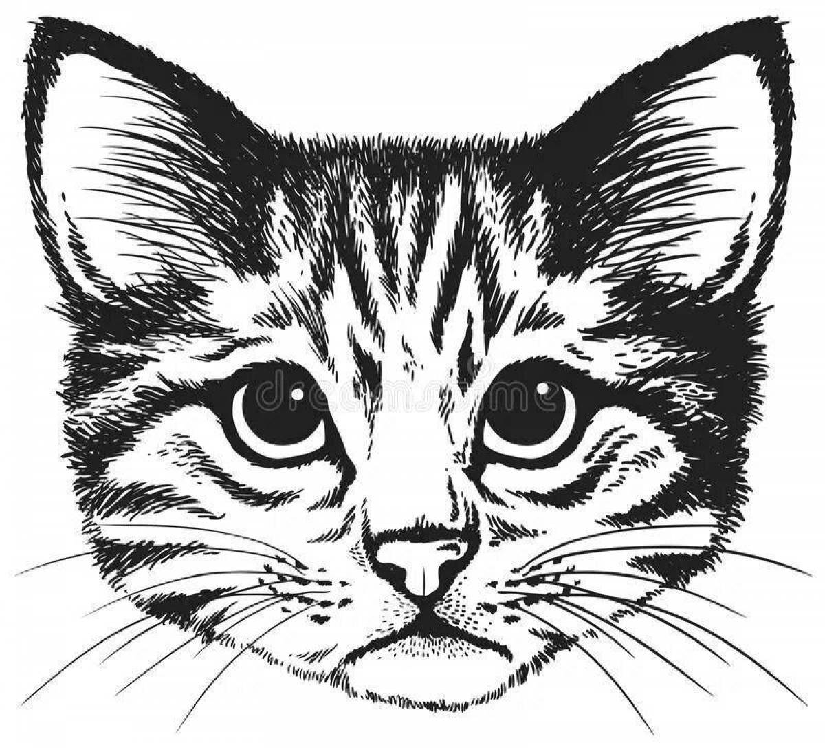Раскраска очаровательная кошачья голова