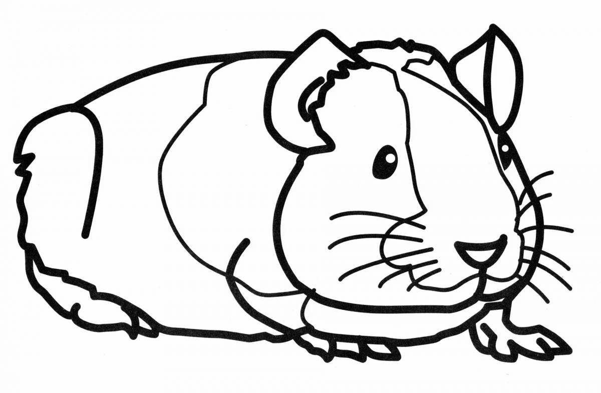 Playful guinea pig coloring pages for kids