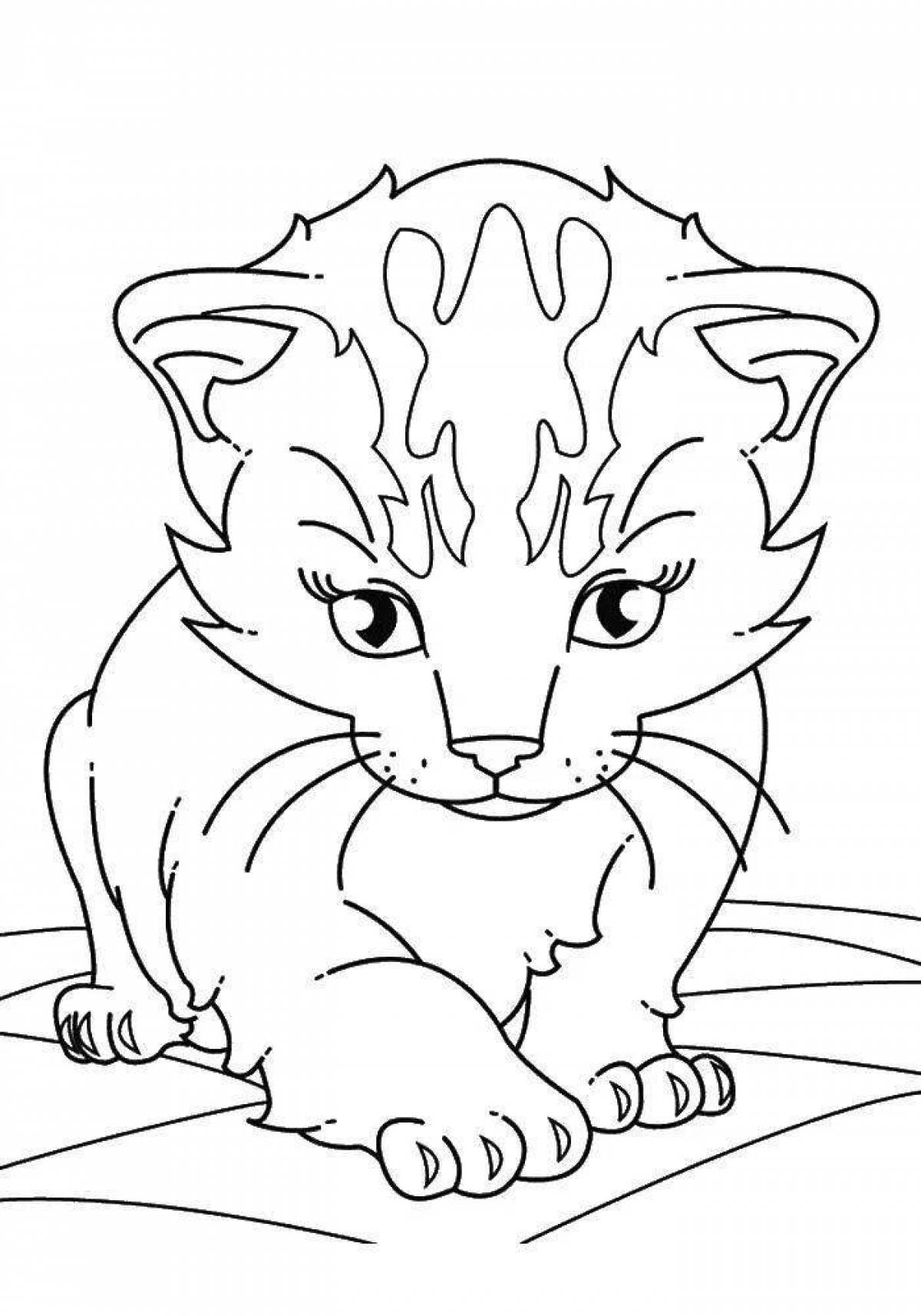 Раскраска сияющий кот