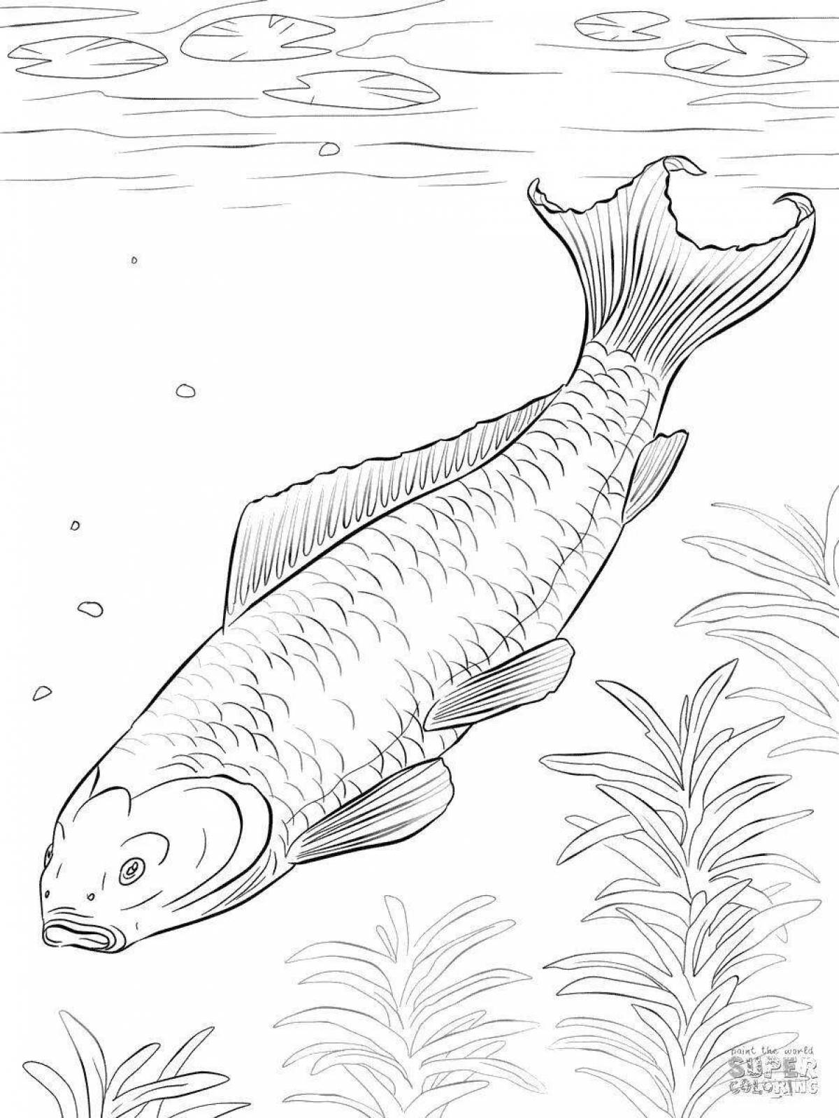 Colorful river fish coloring page