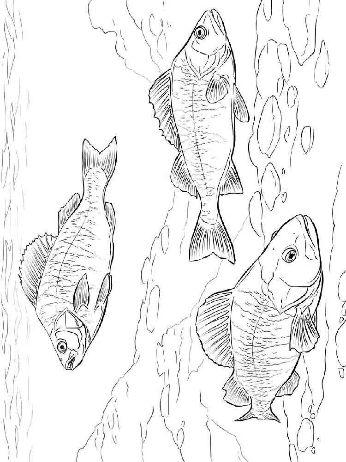 Colouring funny river fish