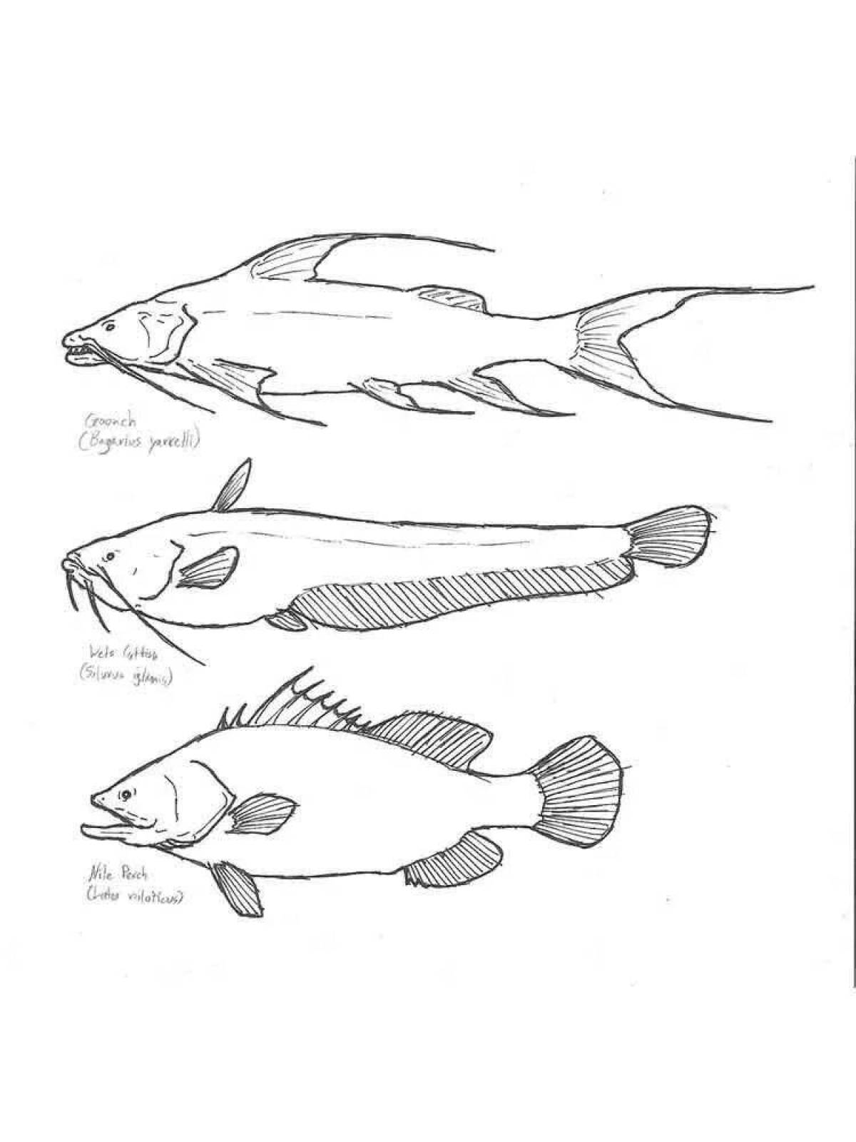 Violent river fish coloring page